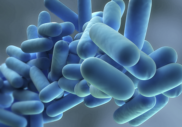 Legionella negli impianti di riscaldamento: come prevenirla